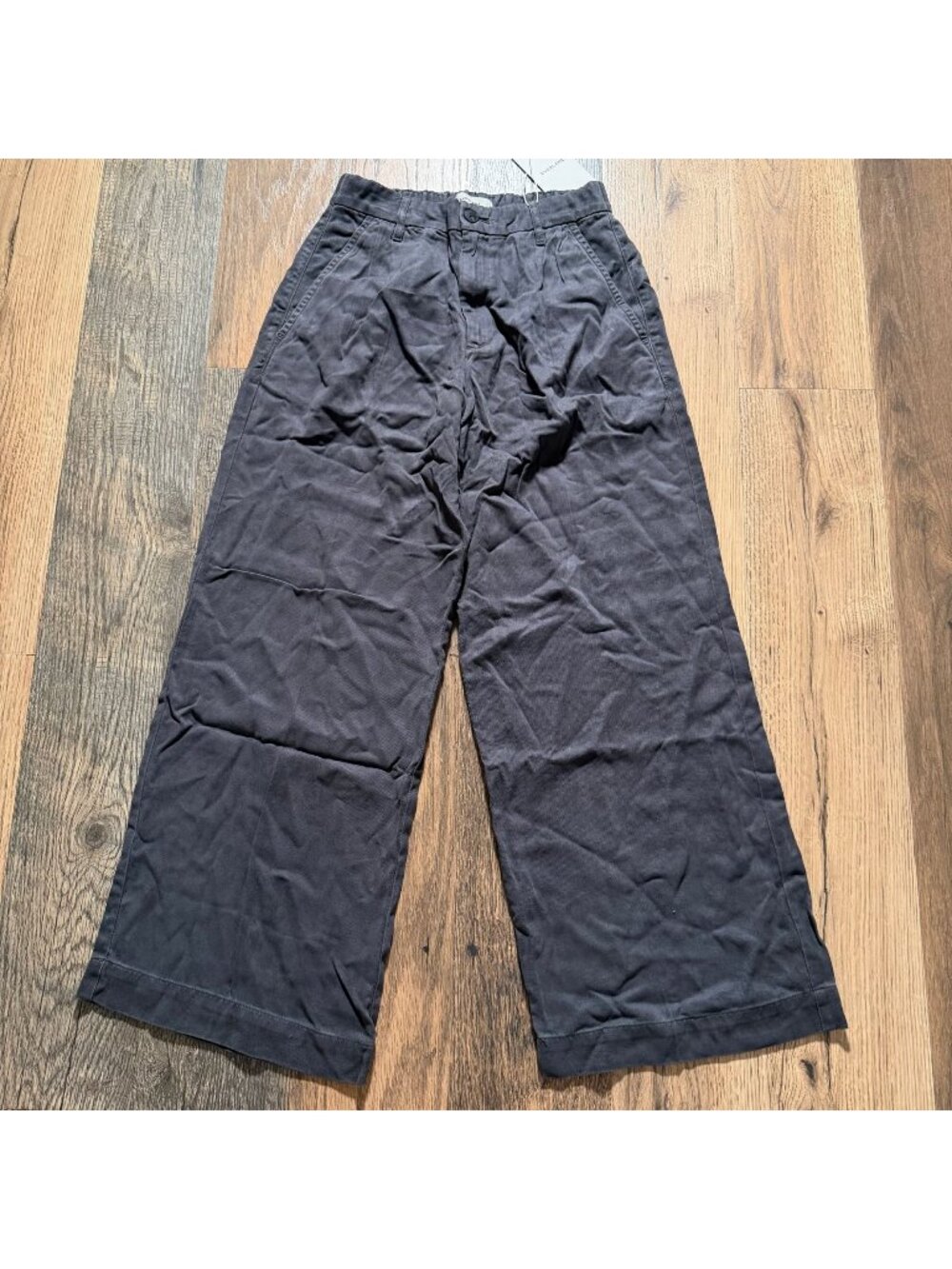 Everlane The Tencel Twill Pleated Chino Forged Iron Size 2 NWT